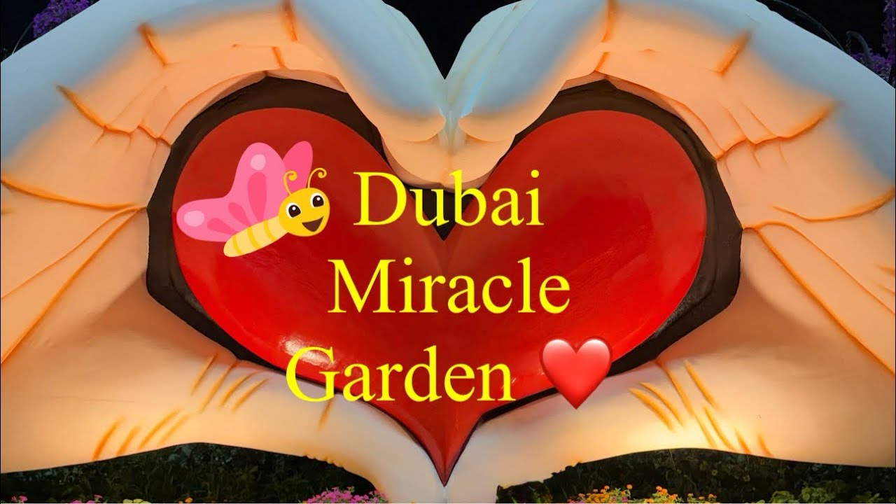 Hello Dubai  🔥 Miracle Garden Dubai 2024 || The world's largest natural flower garden