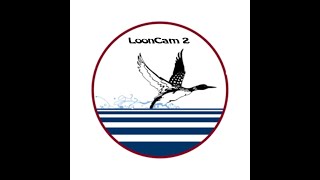 LPC LoonCam 2 - Live - 2026