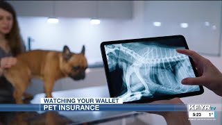 Watching Your Wallet: Pet insurance Profile