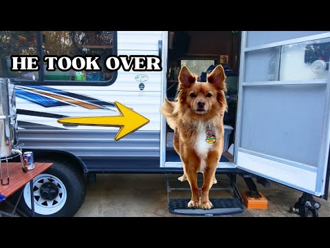 Does our Dog HATE RV LIFE? ￼THE TRUTH FROM HIM…