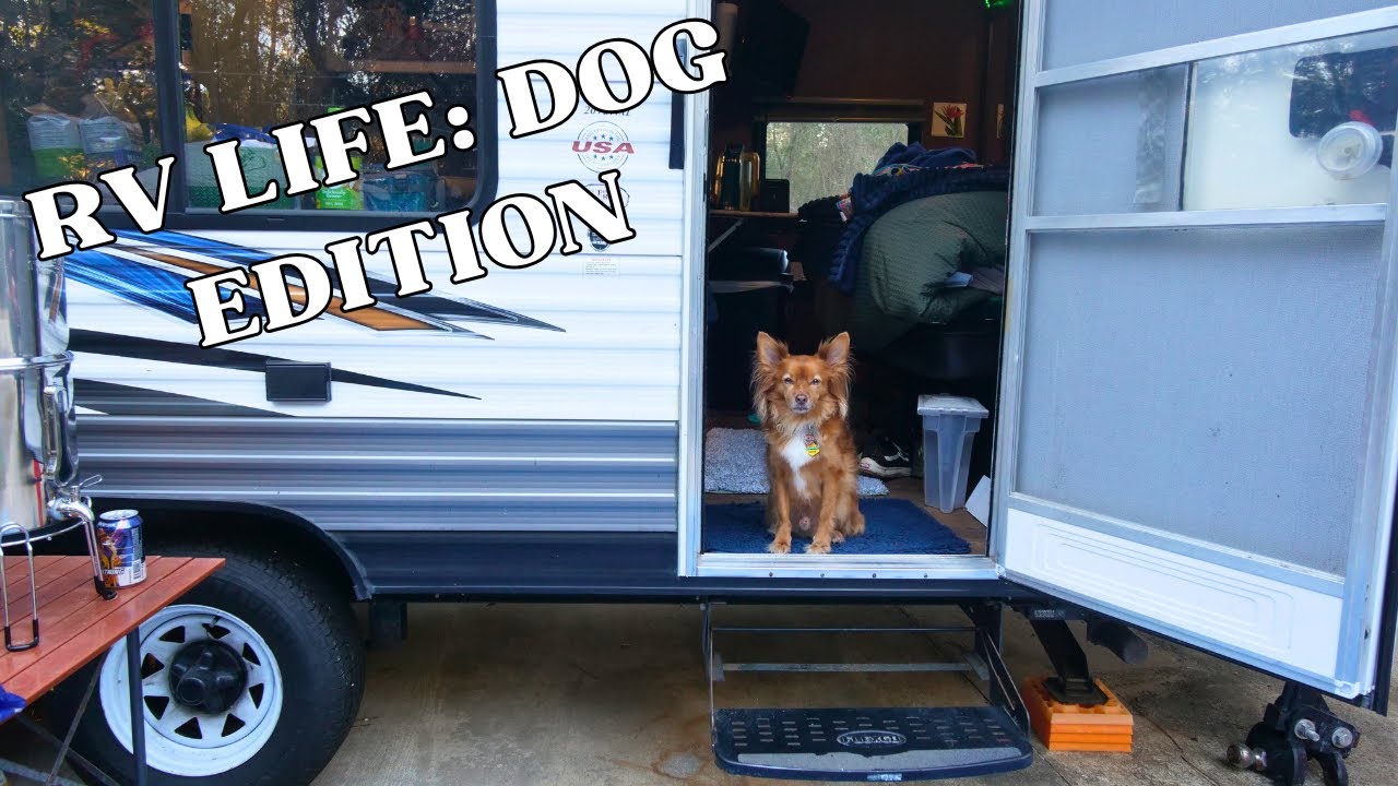 Winston Takes Over the Channel! (RV DOG Day in the Life) + FLORIDA TRAIL & SOUTHERN CAMP MEAL