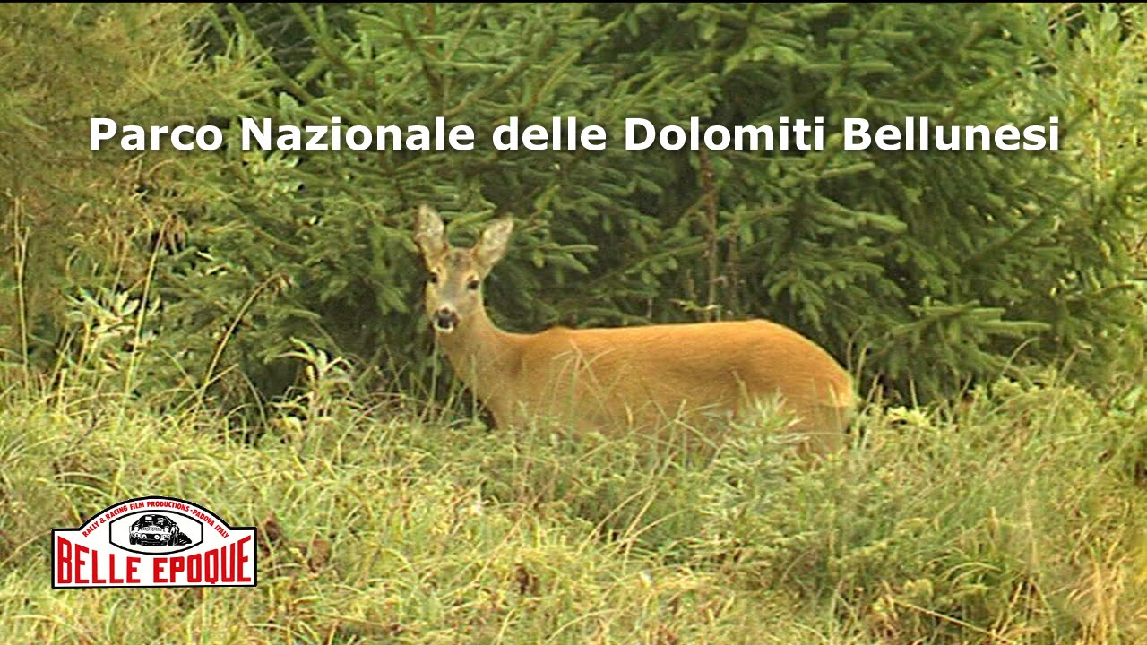 Parco Nazionale delle Dolomiti Bellunesi