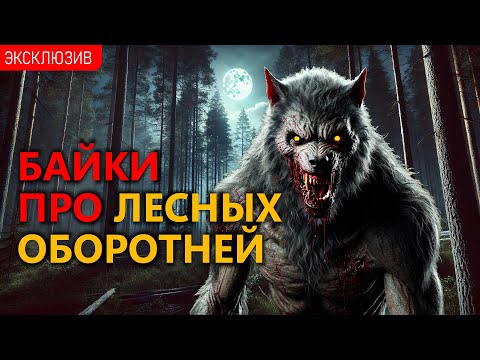 БАЙКИ ПРО ЛЕСНЫХ ОБОРОТНЕЙ - Когда Восходит Полна Луна