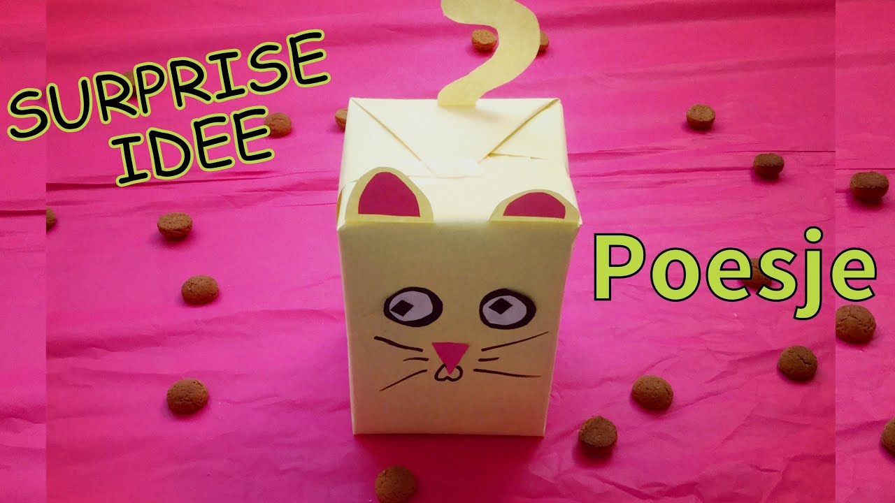 Hulpeloosheid Consumeren vermomming 🎁 💕 DIY SINTERKLAAS SURPRISE inpak idee: POES! | Sinterklaas knutselen -  YouTube