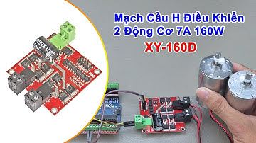 #179: Mạch Cầu H Điều Khiển 2 Động Cơ 7A 160W XY-160D