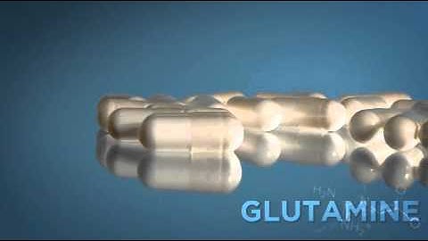 Bodybuilding.com Guide to Glutamine