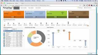 ForceTrac -  MicroStrategy Analytics for SalesForce w D3 Charts Profile