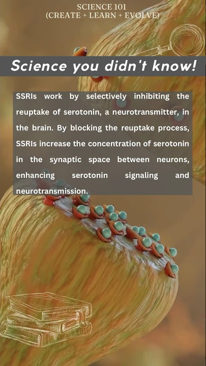 SSRIs simplified