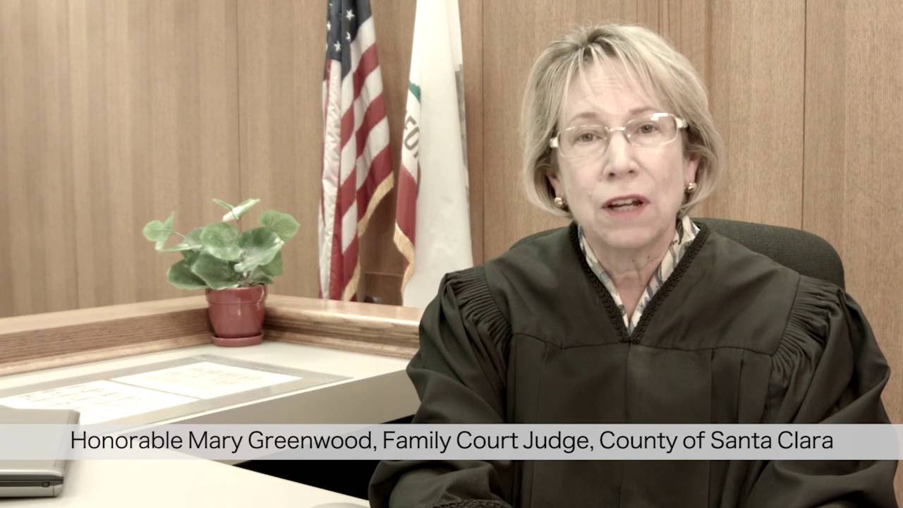 Family Court Orientation PART 1