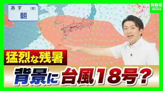 [Return of Intense Heat] Is Typhoon No. 18 Powering Up the Heat! Unusually High Sea Temperatures...