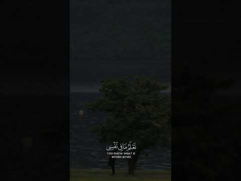 و إذ قال ﷲ يا عيسى ابن مريم أأنت قلت للناس إتخذوني وأمي إلهين من دون ﷲ قرٱن كريم ياسر الدوسري