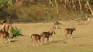 MVI_0162.AVI