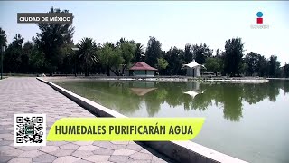 Construyen humedales artificiales en la Ciudad de México | Noticias con Francisco Zea