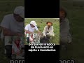 Un refugio de fauna en el llano