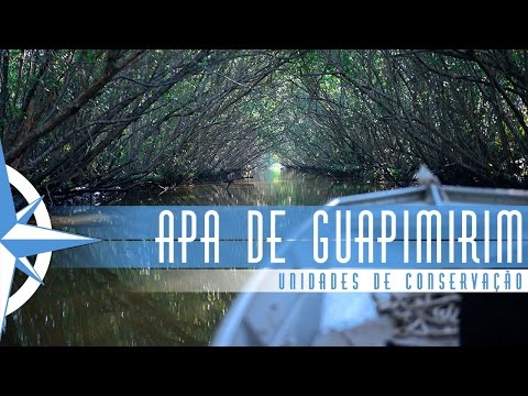 Área de Preservação Ambiental de Guapimirim - Episódio 25