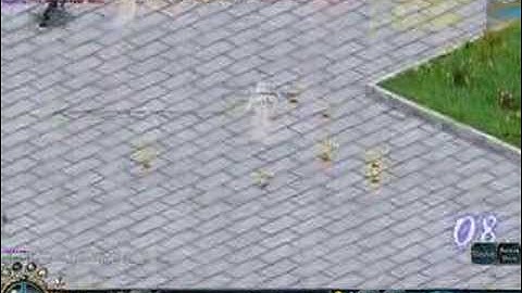 Conquer Online Tiger Hacker