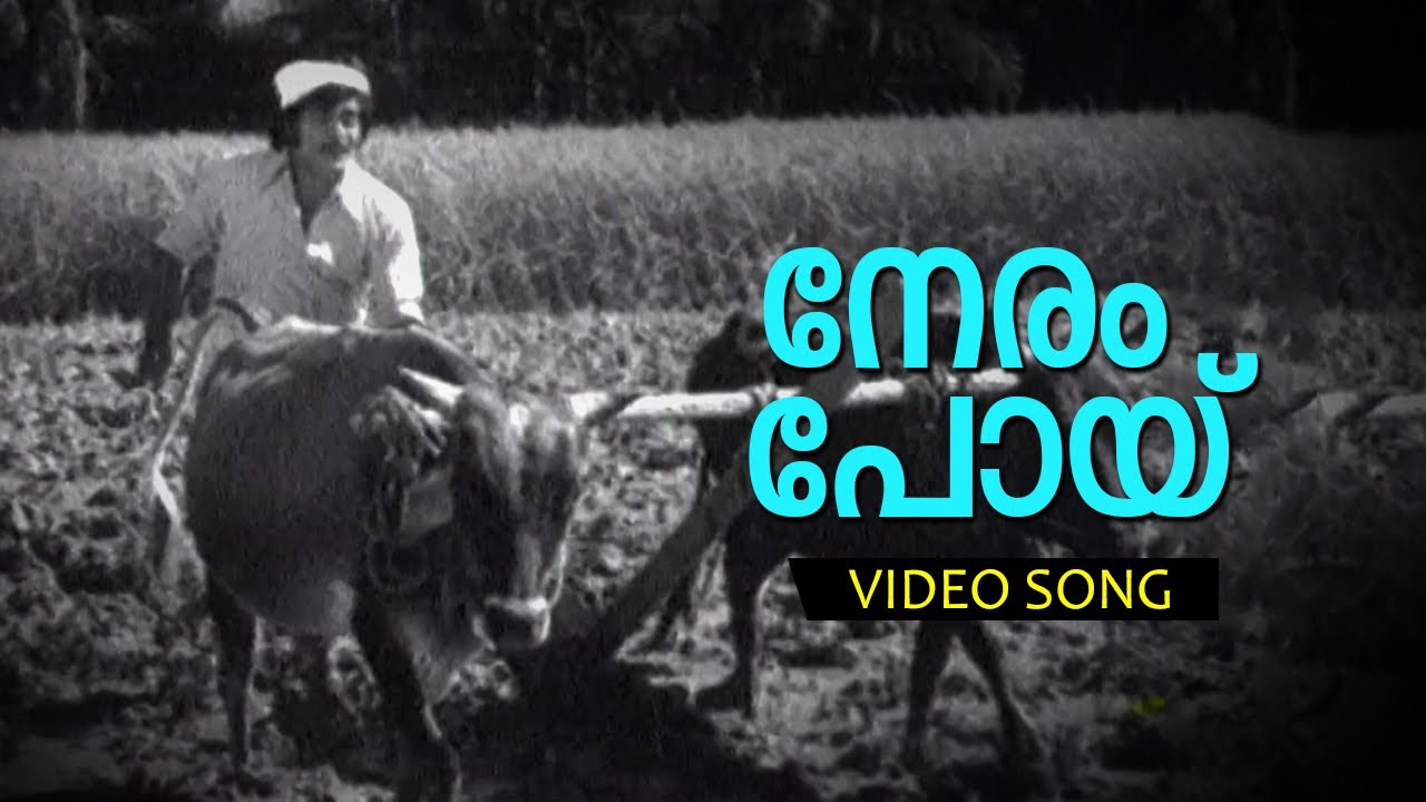Neram Poy... | Malayalam Super Hit Movie Song | Rowdy Ramu | Ft.Madhu