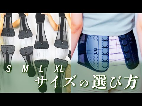 ガードナーガードナーベルト　Ｌサイズ　正規品