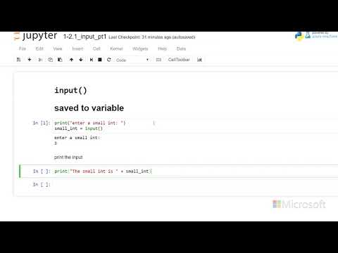 user input - Introduction to Python: Absolute Beginner Module 1 Video 15