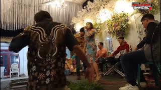 CAMELIA //LINA SALOVA//MP MUSIC (LIVE MUSIC)