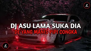 Dj Asu lama Suka Dia || Ternyata Ko Tania X Salting ( Speed Up & Reverb ) 🎧