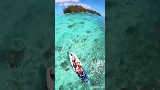 Paddling across the turquoise waters of Moorea's lagoon #shorts #travel #moorea #frenchpolynesia