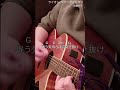 【ライオン/ベリーグッドマン】4つの簡単コードにアレンジして弾き語り #ライオン #ベリーグッドマン #弾き語り #弾き語り好きな人と繋がりたい #簡単ギター