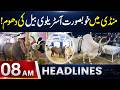Mandi Mein Khubsurat Australian Bull Ki Dhoom | Headlines 08 AM | 24 May 26 | Lahore Rang