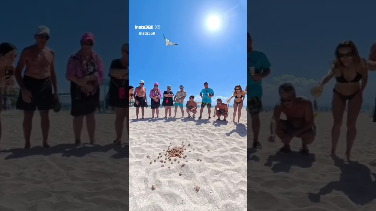 Cayo Blanco: Cuba’s Island You Can’t Forget. 01.03.2026