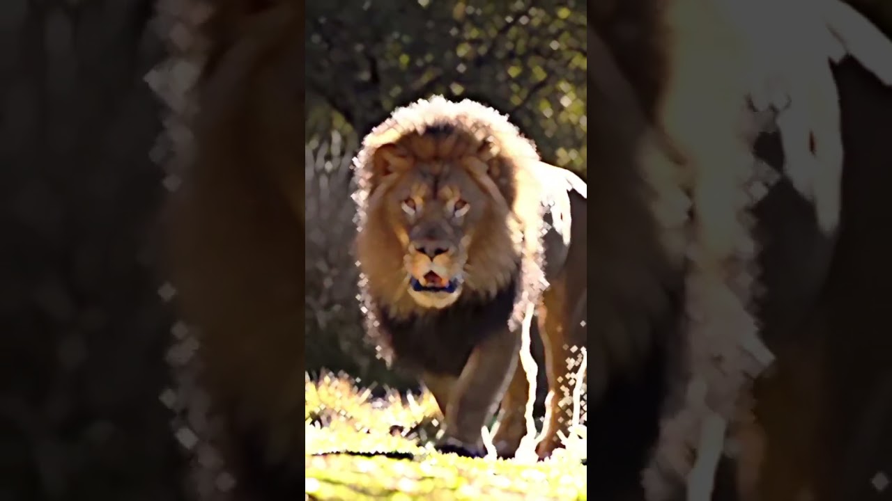 fire 🔥🔥🔥🔥 