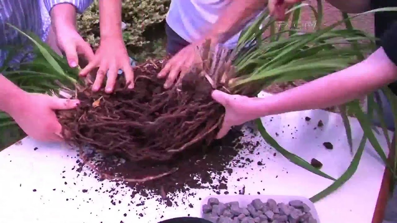 RIC Rural - 22/05 - Bloco 2