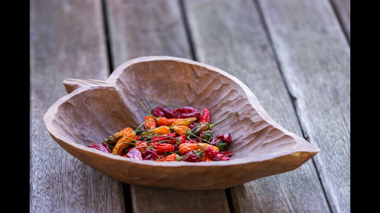 Chili nach 6 Monaten: Wachstum, Ernte und ehrliches Fazit