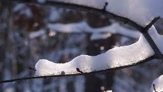 Падал снег  поёт М Магомаев