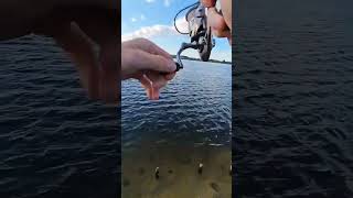 Рыбалка на Тейл Спиннер #рыбалка #отдых #fishing #рекомендации #automobile #тренд #видео