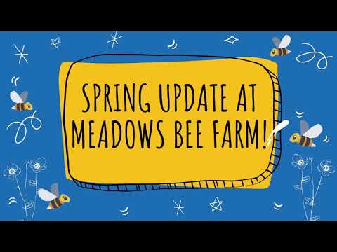 Spring Update at Meadows Bee Farm