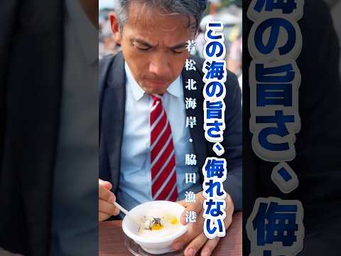 【この海の旨さ、侮れない「若松北海岸・脇田漁港　おさかなフェスタ」】若松の海の魅力を、もっと全国へ！
