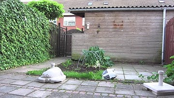 mCPX in idle up mode