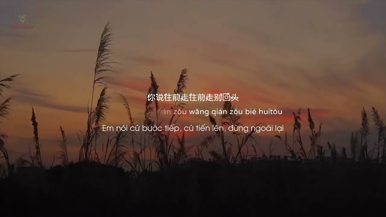 Video YouTube
