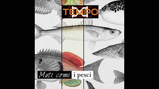 I Secondo Tempo - Vai In Africa, Celestino Francesco De Gregori