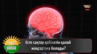 Есте сақтау қабілетін қалай жақсартуға болады?