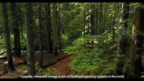 Capstone Project: Portable Stream-Powered & Solar Generator