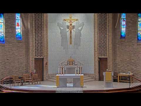 Sunday Mass - 9 AM - 06/22/2025