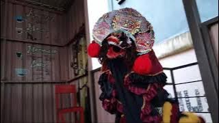 Mentahan Solah Barongan - Story Wa Jaranan