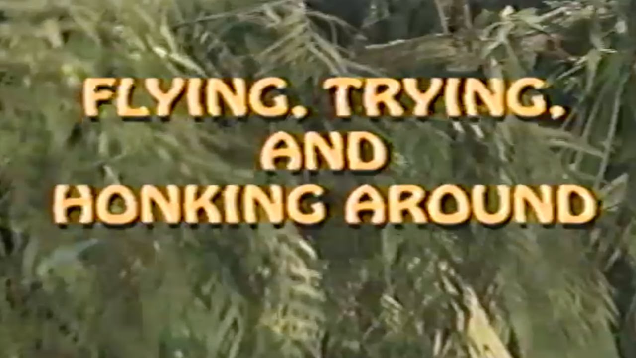 世界の子供 ナショナルジオグラフィック FLYING, TRYING, AND HONKING AROUND (1994) — GEOKIDS [VHS Rip / VHS