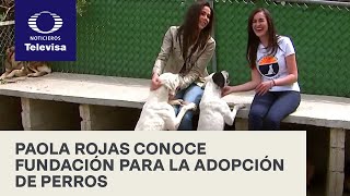 Fundación Manuel Rozada alberga cientos de perros que esperan ser adoptados  Al Aire con Paola
