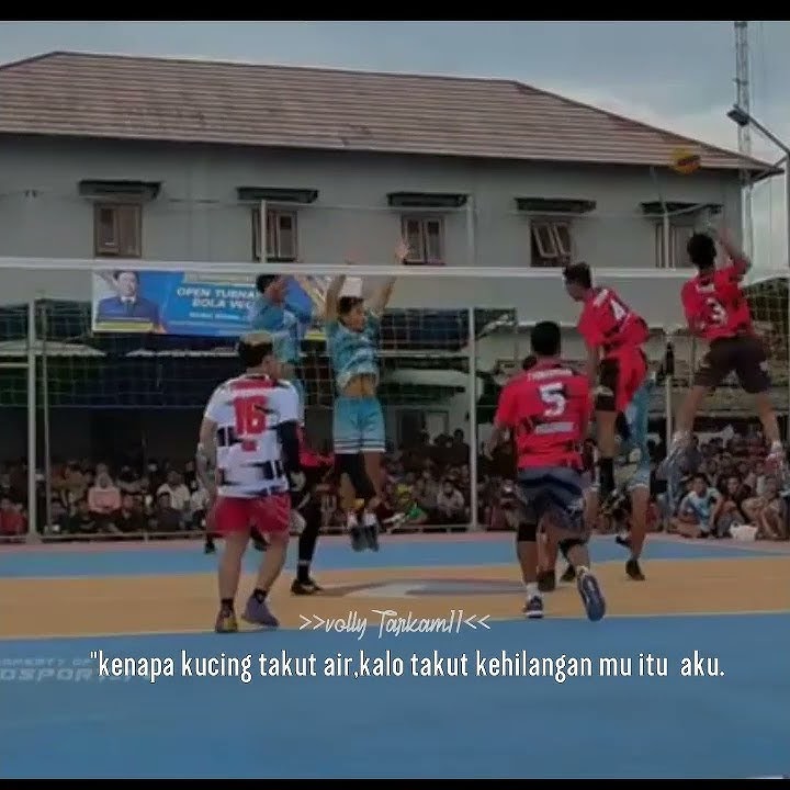 story wa volly ball