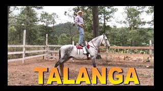 TALANGA