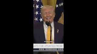 Information 'Nicki, are they real': Trump shares love for Nicki Minaj Update