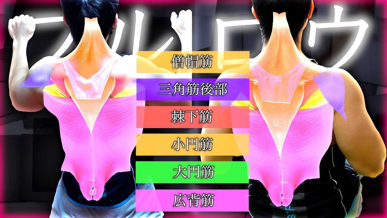【筋トレ】”プル”と”ロウ”の違いをこれ以上詳しく説明できません。