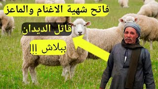 اسباب فقدان الشهيه ونقص وزن الغنم و الماعز والعلاج؟؟